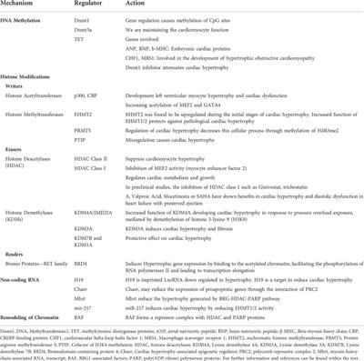 Molecular perspectives in hypertrophic heart disease: An epigenetic approach from chromatin modification